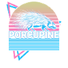 Porcupine Retro Gift