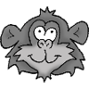 Chimpanzee 2