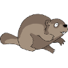 Beaver