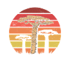 Africa Lovers Travel Baobab Tree