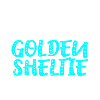 Golden Sheltie