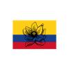Medellin Colombie Fleurs Drapeau