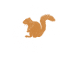 Écureuil