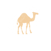 Camel Dromedary