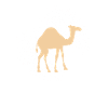 Camel Dromedary