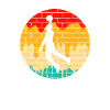 Basketball Retro