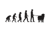 Leonberger Evolution