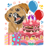Dog Birthday Gift Sweet Puggle