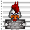 Mr Rooster
