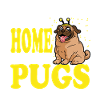 A House is a not a Home without Pugs Dog Owner