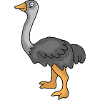 Strauß / Emu