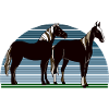 Chevaux