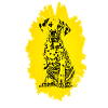 Dalmate