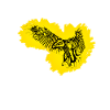 Aigle
