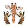 Giraffen