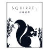 Squirrel Chinese Hanzi Squirrel Fuchshörnchen