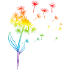 Pissenlit Pissenlit Rainbow Plant