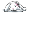 White Rabbit Sleeping Rabbit Tired