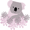Koala rose