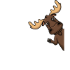 Elk Alaskan Moose Funny