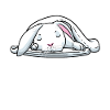 Lapin Blanc Lapin