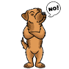 Westphalia Terrier Dog Dog Lovers