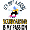 Skater Skateboard skateboarding longboard gift