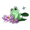 Lotus Flower Frog