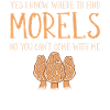 Mushroom pickers collect mushroom pickers