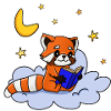 Red Panda Reading Book