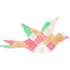 Fliegentaube
