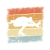 Figure Skating Retro