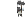 Tapir in Brusttasche