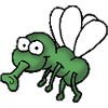 Fliege