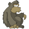 Gorilla