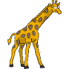 Giraffe 1