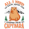 Capybara Wasserschwein Capibara