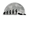 Mähroboter Evolution Mond Rasenroboter