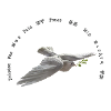Peace Text