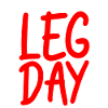 Leg Day Handicapped Wheelchair 17