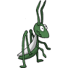 Grasshopper