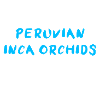 Peruvian Inca Orchid
