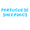 Portuguese Sheepdog