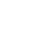 Pembroke Sheltie Dad