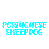 Portuguese Sheepdog