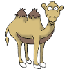 Camel