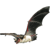 Zweifarbfledermaus Aufkleber