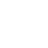 Evolution Staplerfahrer