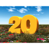 Year 20