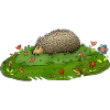 Hedgehog